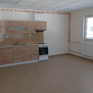 Pronájem bytu 1+kk a garsoniéry 40 m² Horní Stropnice, 