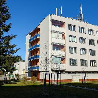 Prodej bytu 3+1 73 m² Borek, Družstevní