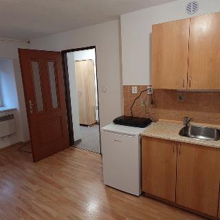 Pronájem bytu 1+kk a garsoniéry 24 m² Kamenný Újezd, 