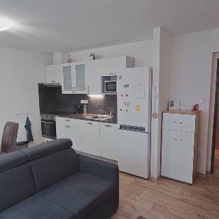 Pronájem bytu 2+kk 43 m² Kamenný Újezd, 5. května