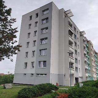 Pronájem bytu 1+1 43 m² Velešín, Nad Cihelnou