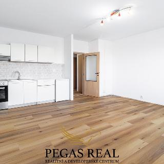 Pronájem bytu 1+kk a garsoniéry 33 m² Brno, Krymská