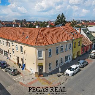 Prodej rodinného domu 426 m² Brno, Rokycanova