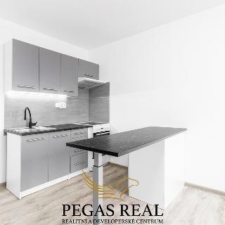 Pronájem bytu 1+kk a garsoniéry 31 m² Brno, Mutěnická