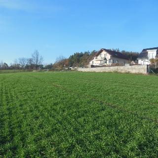 Prodej stavební parcely 6140 m² Jenišovice