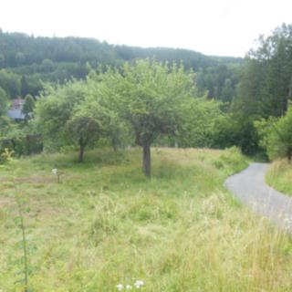 Prodej zahrady 520 m&sup2; Bozkov