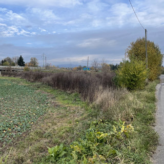 Prodej komerčního pozemku 1 334 m² Čtveřín, 