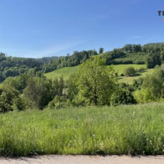 Prodej stavební parcely 3 296 m² Slaná Nedvězí