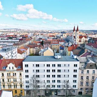 Pronájem ostatní nemovitosti 13 m² Plzeň, Zikmunda Wintra