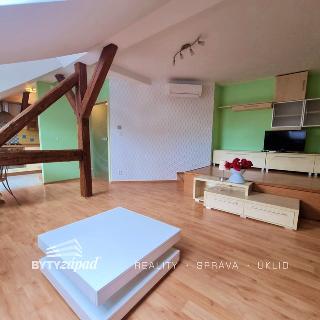 Pronájem bytu 1+kk a garsoniéry 48 m² Plzeň, Purkyňova