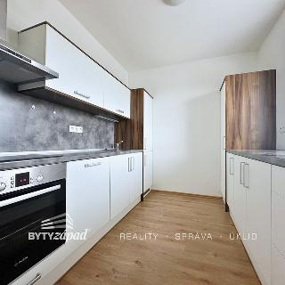 Pronájem bytu 2+kk 61 m² Plzeň, U Velkého rybníka