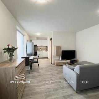 Pronájem bytu 1+kk a garsoniéry 39 m² Plzeň, Otýlie Beníškové