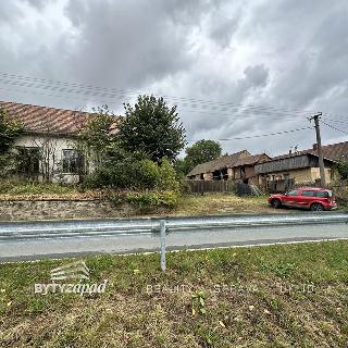 Prodej zemědělské usedlosti 500 m² Bor, 