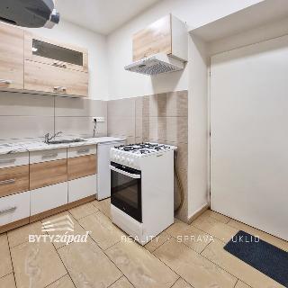 Prodej bytu 1+kk a garsoniéry 30 m² Plzeň, náměstí Českých bratří