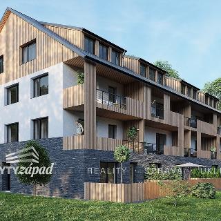 Prodej hotelu a penzionu 1 093 m² Železná Ruda, 