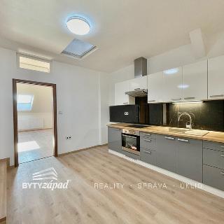 Pronájem bytu 2+1 80 m² Plzeň, 