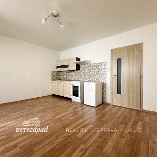 Pronájem bytu 1+kk a garsoniéry 27 m² Plzeň, Kralovická