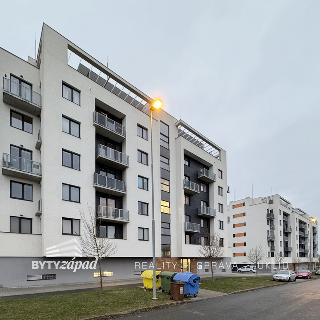 Pronájem bytu 2+kk 47 m² Plzeň, Technická