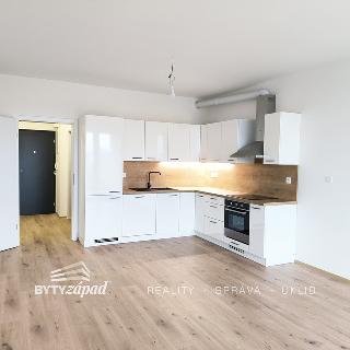 Pronájem bytu 2+kk 63 m² Plzeň, Goldscheiderova