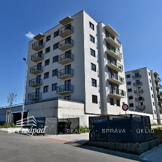 Pronájem bytu 2+kk 48 m² Plzeň, Pecháčkova