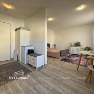 Pronájem bytu 1+kk, garsoniery 30 m² Plzeň
