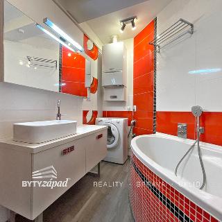 Pronájem bytu 1+kk a garsoniéry 48 m² Plzeň, Purkyňova