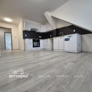 Pronájem bytu 2+1 59 m² Přeštice, Rybova