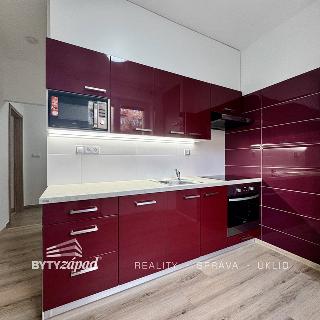 Pronájem bytu 2+1 52 m² Plzeň, Blatenská