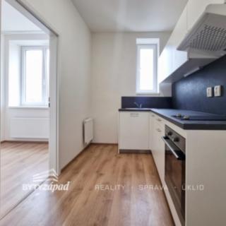 Pronájem bytu 1+1 41 m² Plzeň