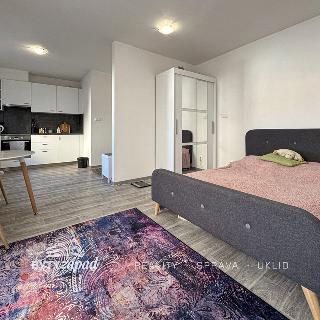 Pronájem bytu 1+kk, garsoniery 30 m² Plzeň