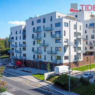 Pronájem bytu 2+kk 61 m² Praha, Štěchovická