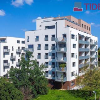 Pronájem bytu 2+kk 60 m² Praha Strašnice, Štěchovická