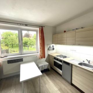 Pronájem bytu 2+1 45 m² Tábor Klokoty, Lidická
