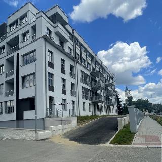 Prodej bytu 3+kk 88 m² Tábor