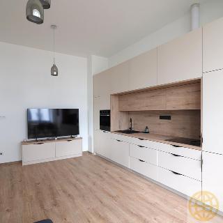 Pronájem bytu 3+kk 82 m² Tábor, Kpt. Jaroše