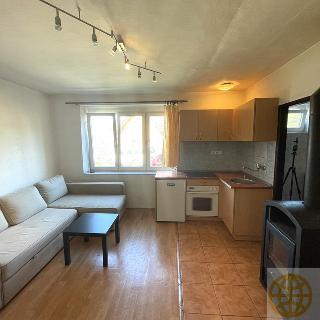 Prodej bytu 1+kk a garsoniéry 28 m² Lipnice nad Sázavou