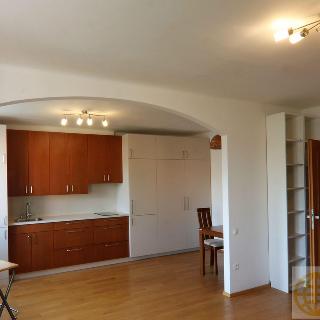 Pronájem bytu 2+kk 55 m² Praha, Hartigova