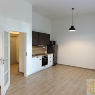 Pronájem bytu 1+kk a garsoniéry 37 m² Tábor, Kpt. Jaroše