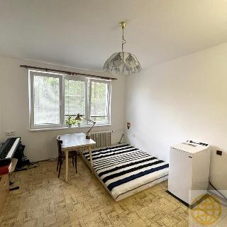 Pronájem bytu 1+kk a garsoniéry 33 m² Tábor, Jaselská