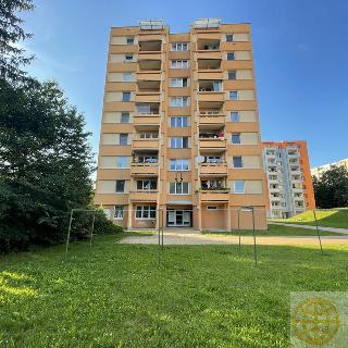 Prodej bytu 1+kk a garsoniéry 29 m² Tábor, Krakovská