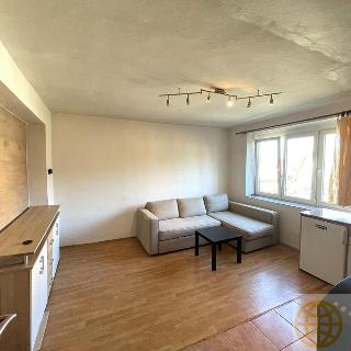 Prodej bytu 1+kk a garsoniéry 28 m² Lipnice nad Sázavou