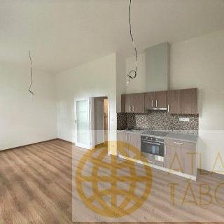 Pronájem bytu 1+kk a garsoniéry 38 m² Tábor, Kpt. Jaroše