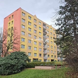 Prodej bytu 1+1 35 m² Ústí nad Labem, Nová