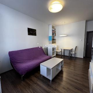 Pronájem bytu 2+kk 50 m² Praha, Rečkova