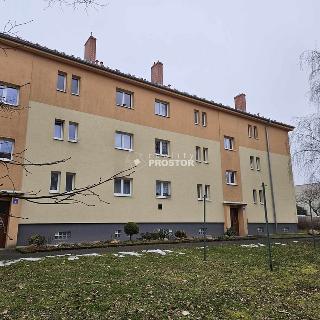 Pronájem bytu 2+1 55 m² Teplice, U nemocnice