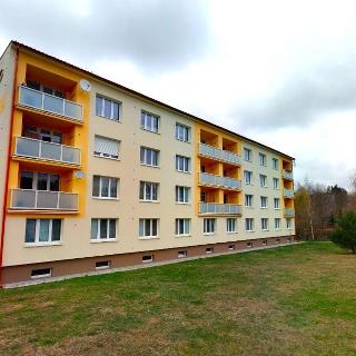 Pronájem bytu 3+1 56 m² Konstantinovy Lázně, Školní