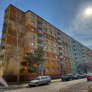 Pronájem bytu 2+1 64 m² Plzeň, 