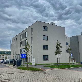 Pronájem bytu 1+kk, garsoniery 37 m² Plzeň