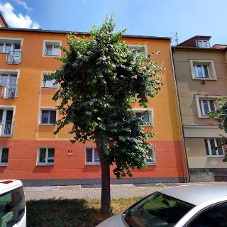 Prodej bytu 2+1 62 m² Plzeň, Lukavická