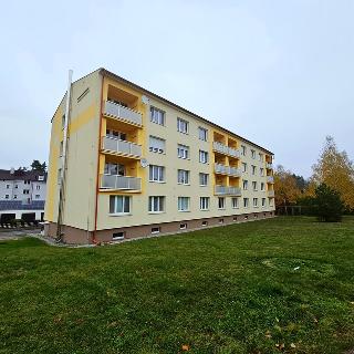 Pronájem bytu 3+1 56 m² Konstantinovy Lázně, Školní